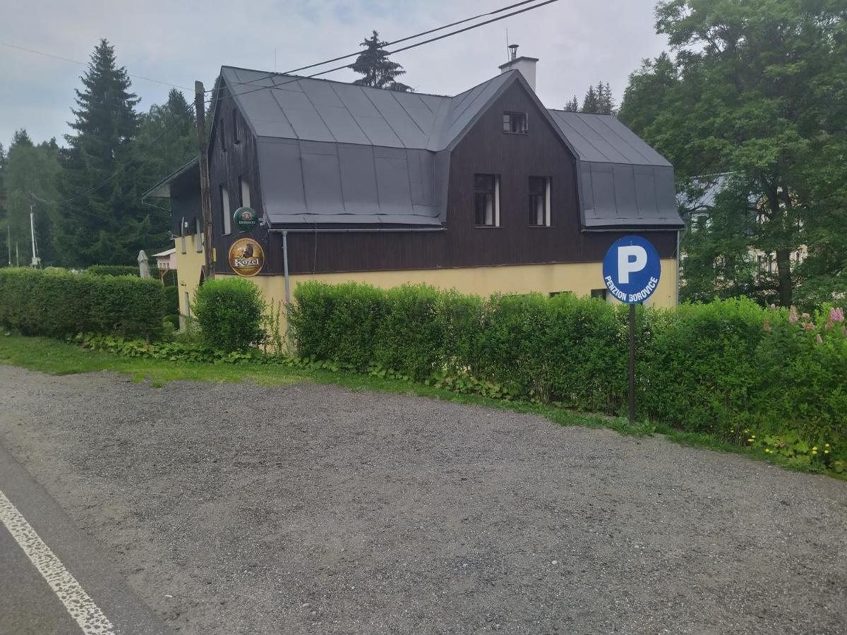 Penzion Borovice Йозефув Дул Екстер'єр фото